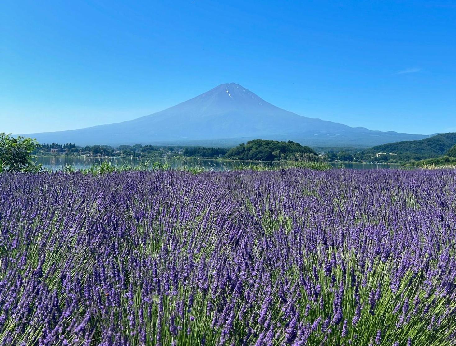 Holiday Home Furinkazan 風林火山 ฟูจิคาวากุจิโกะ ภายนอก รูปภาพ
