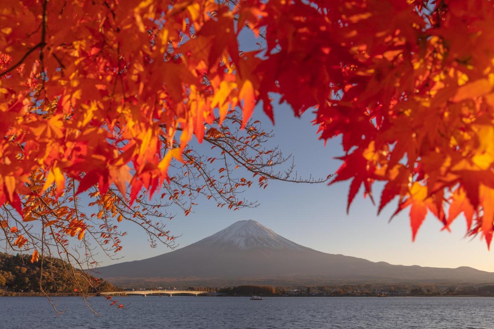 Holiday Home Furinkazan 風林火山 ฟูจิคาวากุจิโกะ ภายนอก รูปภาพ